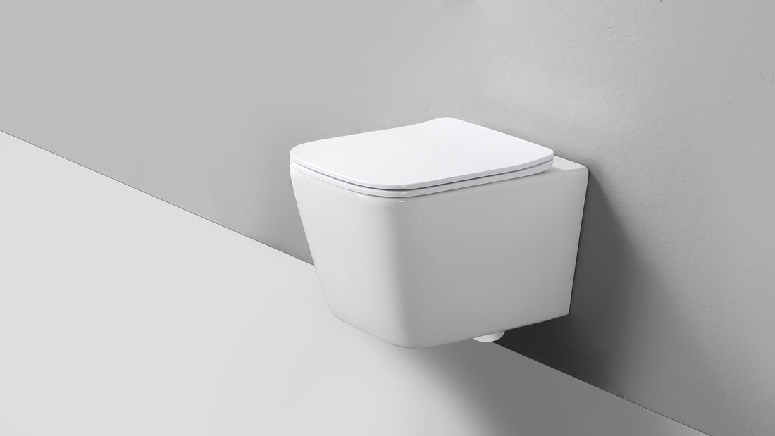 RICO WALL HUNG TOILET PAN & SEAT
