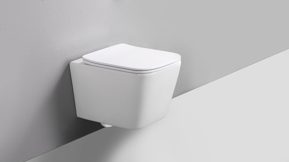 RICO WALL HUNG TOILET PAN & SEAT