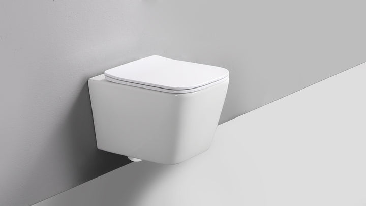 RICO WALL HUNG TOILET PAN & SEAT