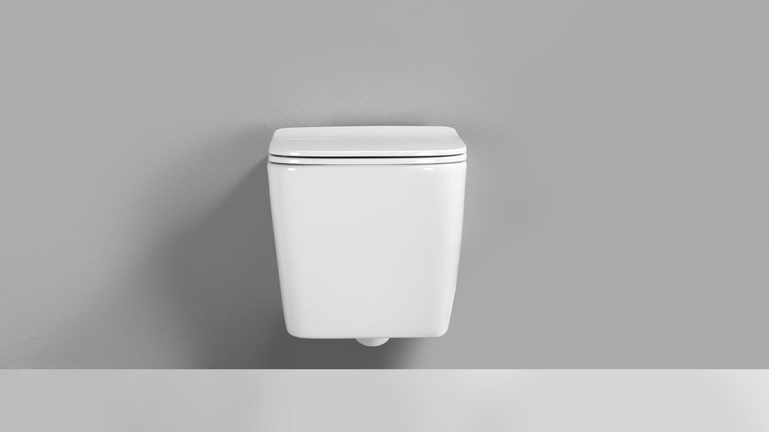 RICO WALL HUNG TOILET PAN & SEAT