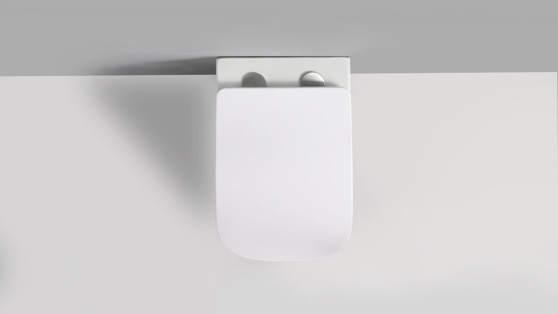 RICO WALL HUNG TOILET PAN & SEAT