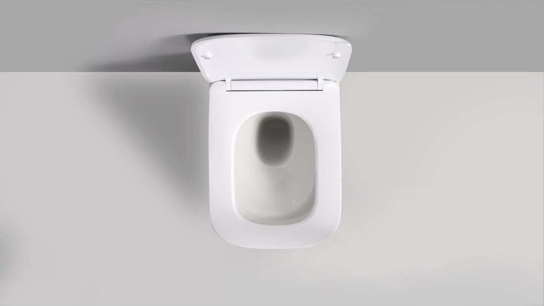 RICO WALL HUNG TOILET PAN & SEAT