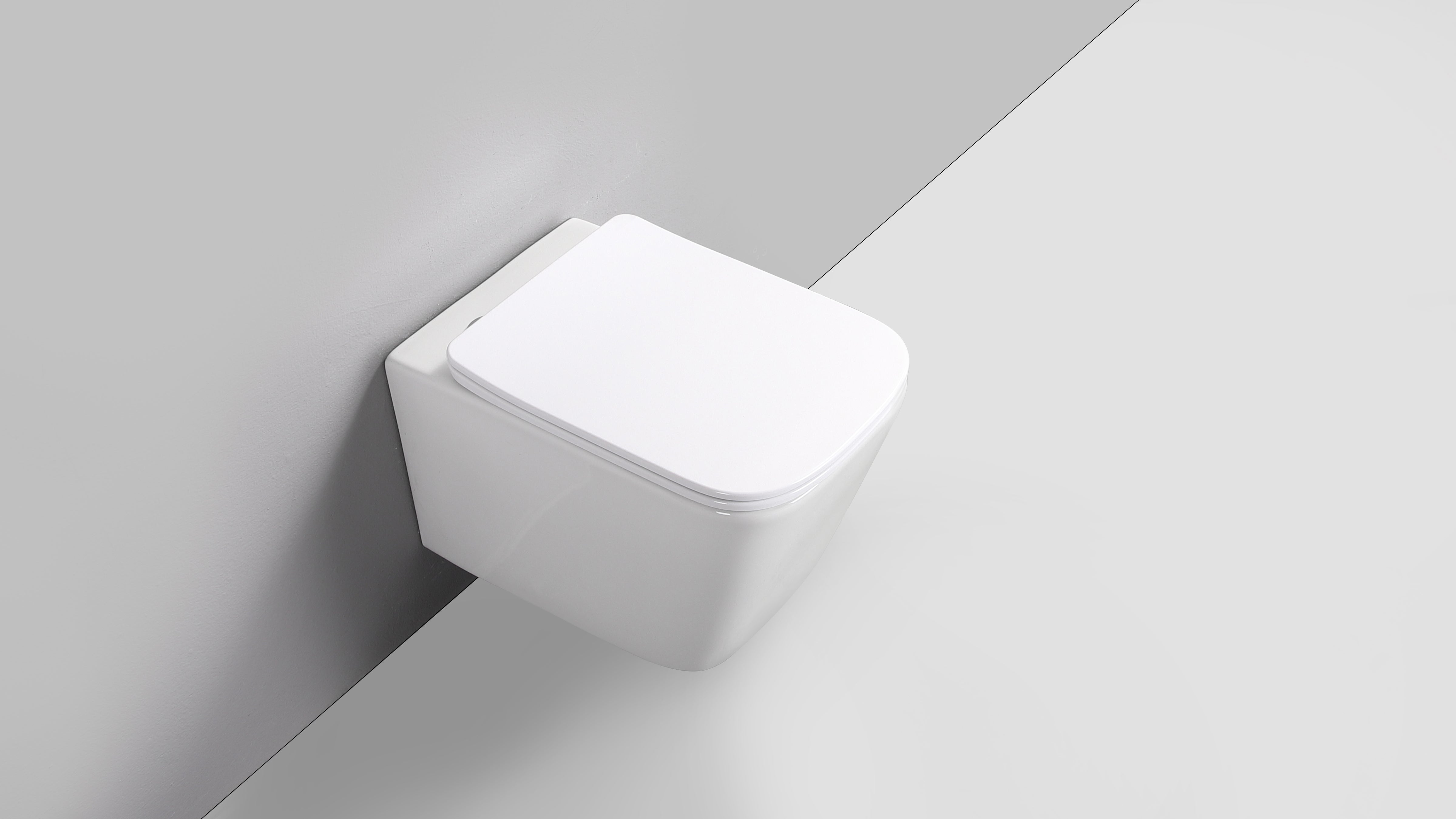 RICO WALL HUNG TOILET PAN & SEAT