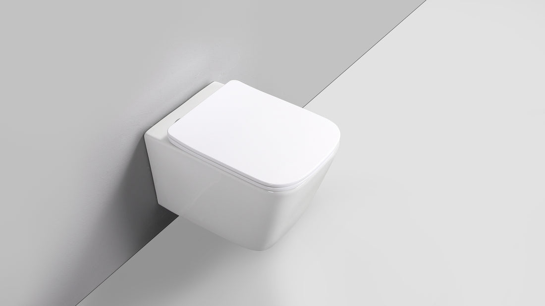 RICO WALL HUNG TOILET PAN & SEAT