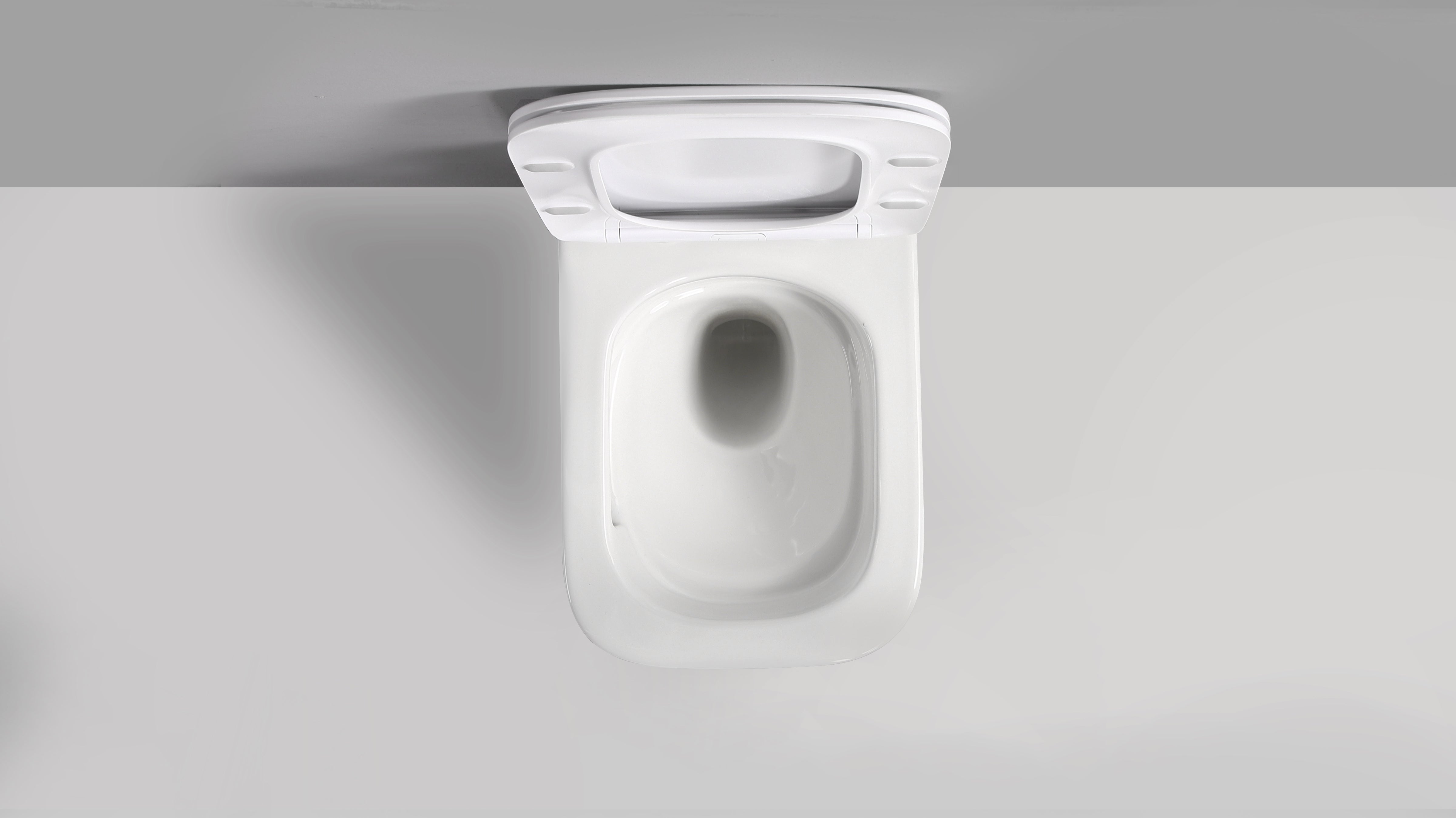 RICO WALL HUNG TOILET PAN & SEAT