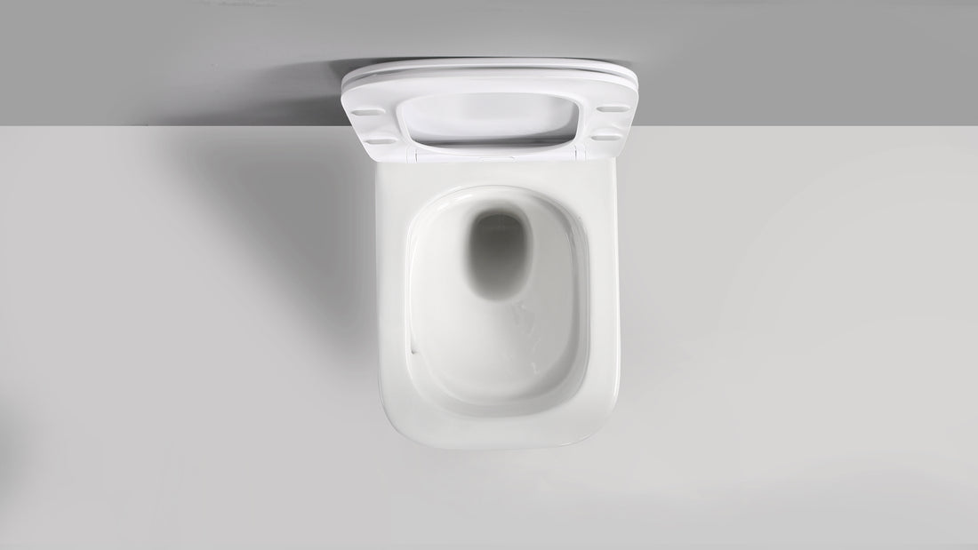 RICO WALL HUNG TOILET PAN & SEAT