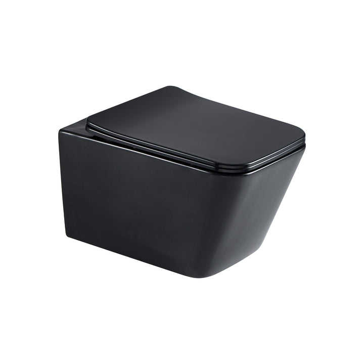 Aristo Matt Black Wall Hung Pan & Seat