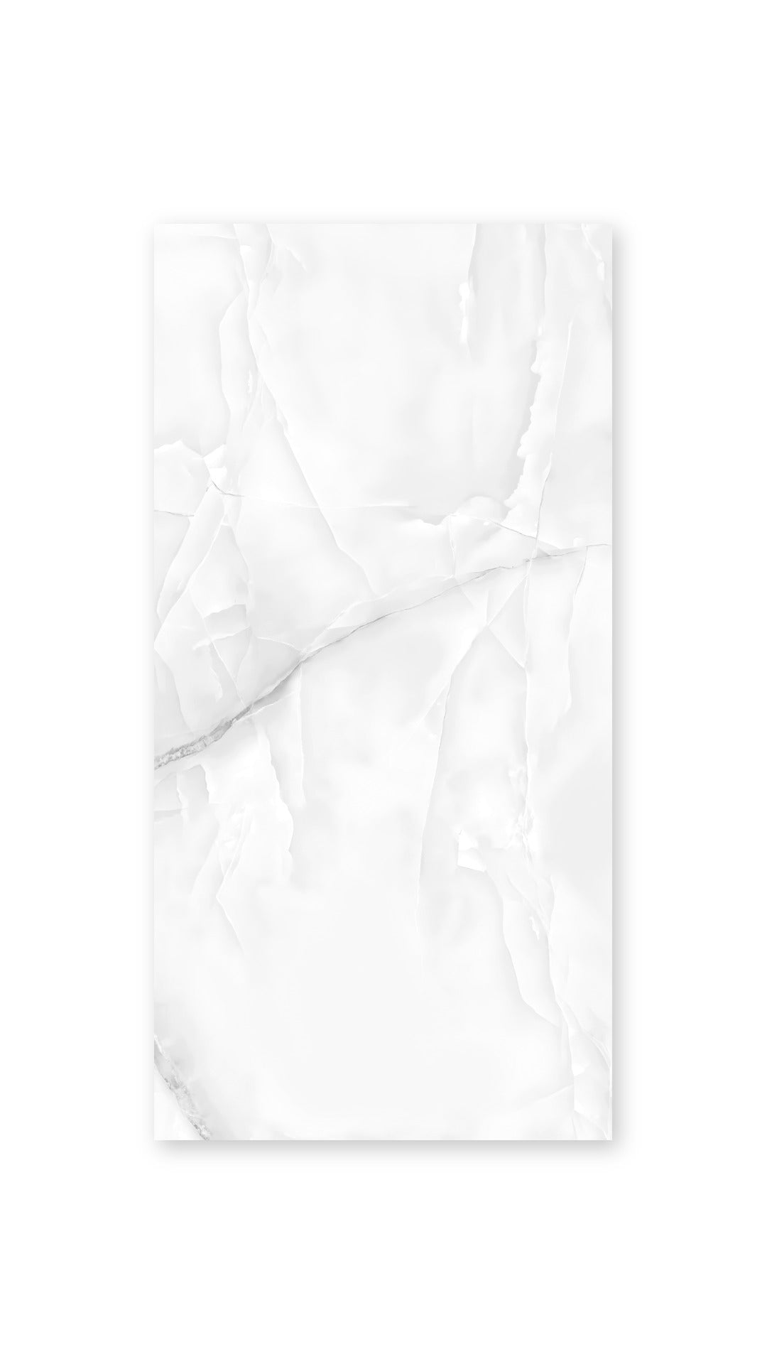 Berg Grey Glossy Porcelain 600x1200 tile face 1