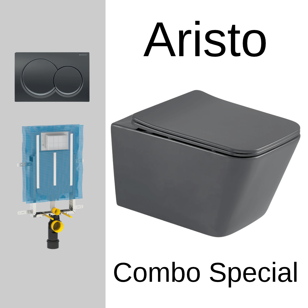 Aristo Grey wall hung toilet combo with Geberit Alpha cistern and flush plate
