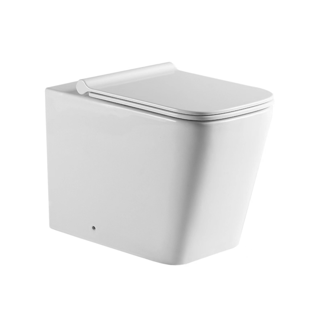 Coppolia White Back To Wall Pan & Seat