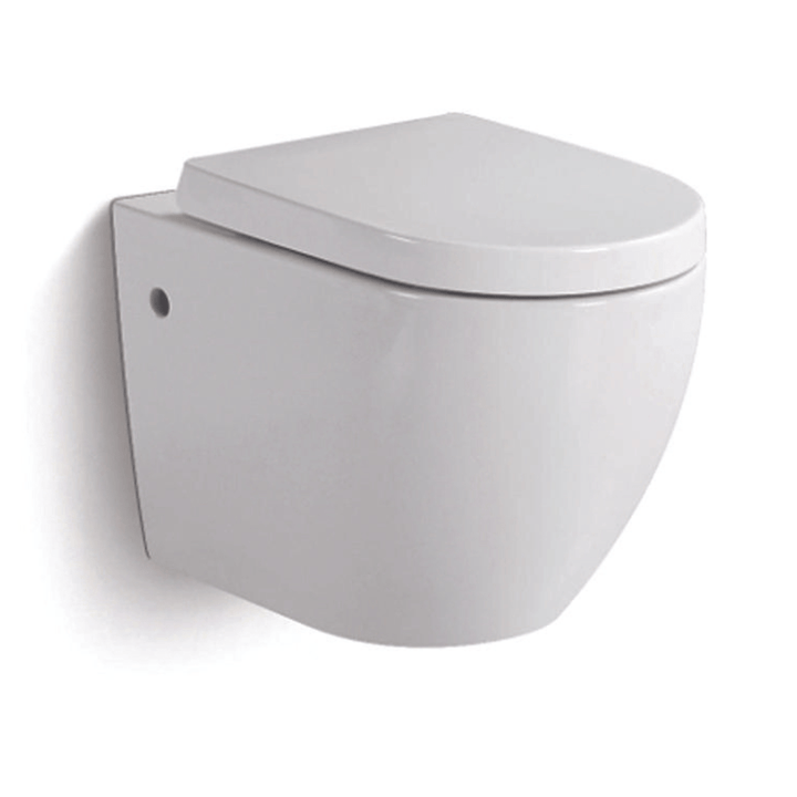 Enzo Round White Wall Hung Pan & Seat