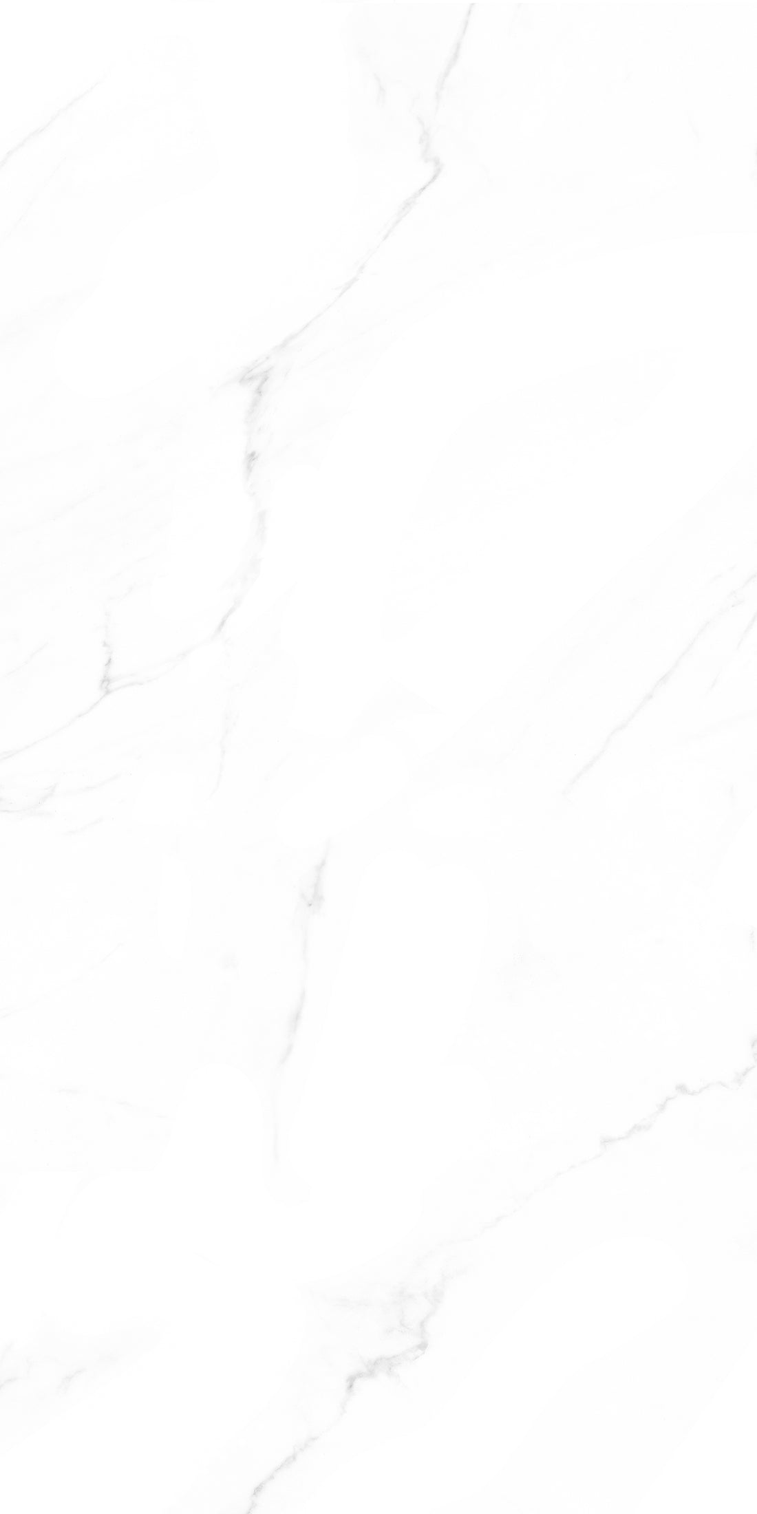 Saturio Glossy Polished Porcelain 600X1200 1st Grade Floor & Wall Tiles