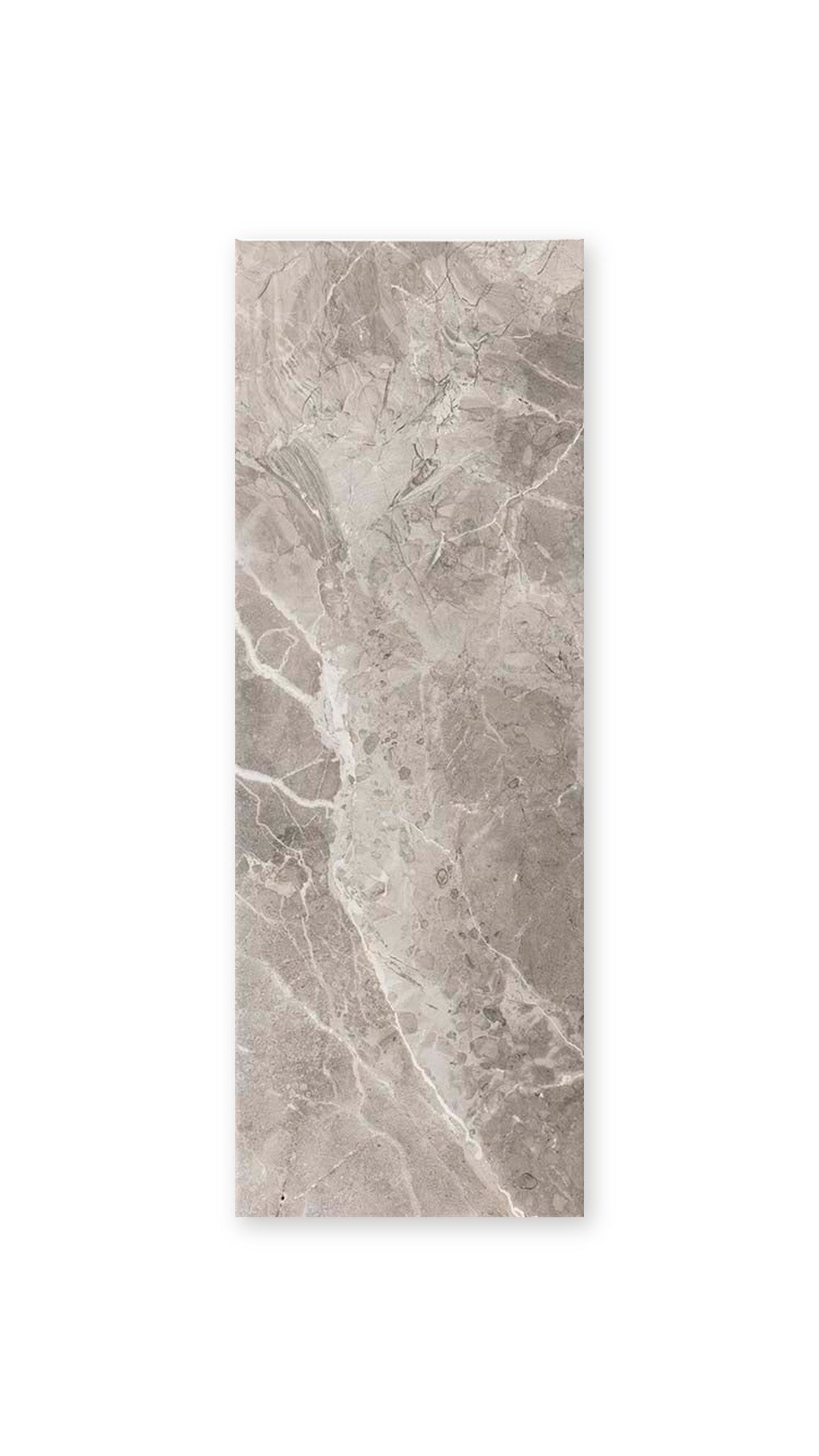 Ariana Graphite 25X70 tile