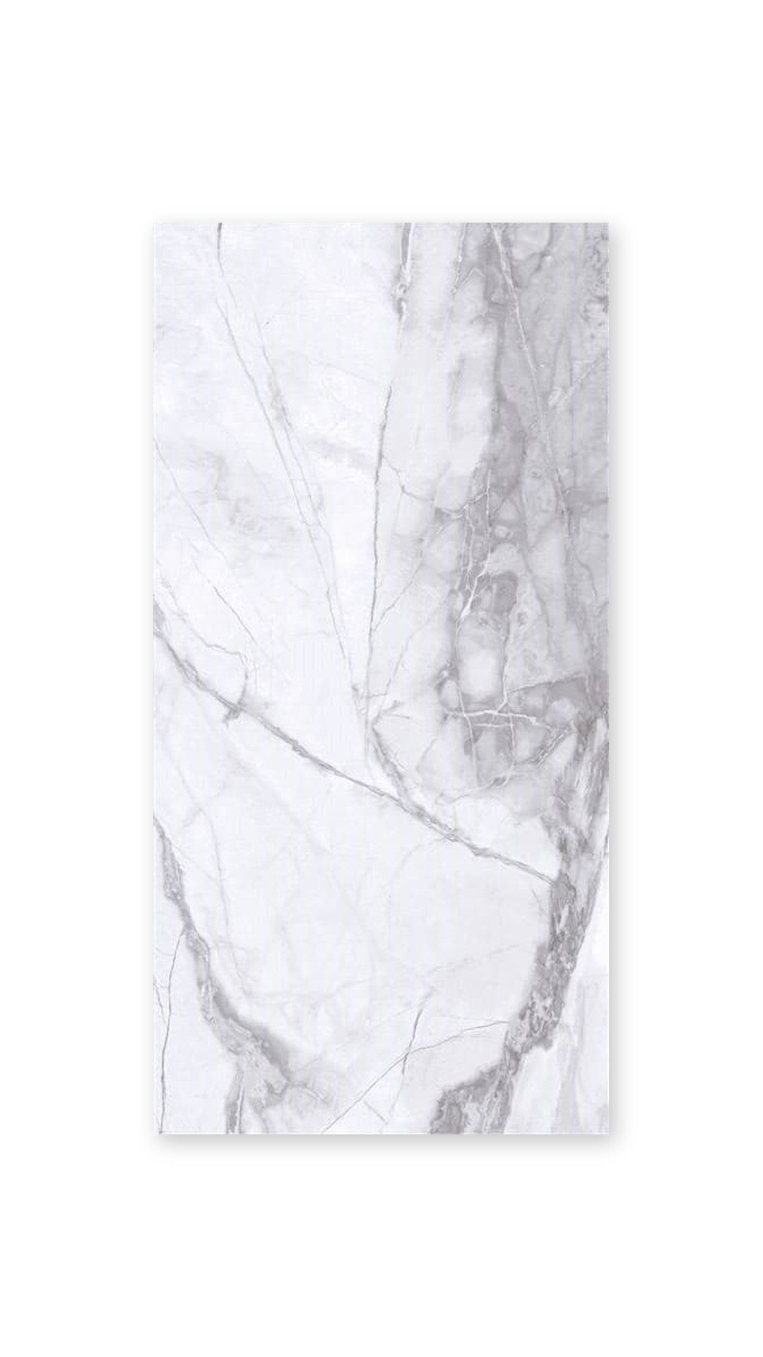 Berg Grey Glossy Porcelain 800X1600 tile
