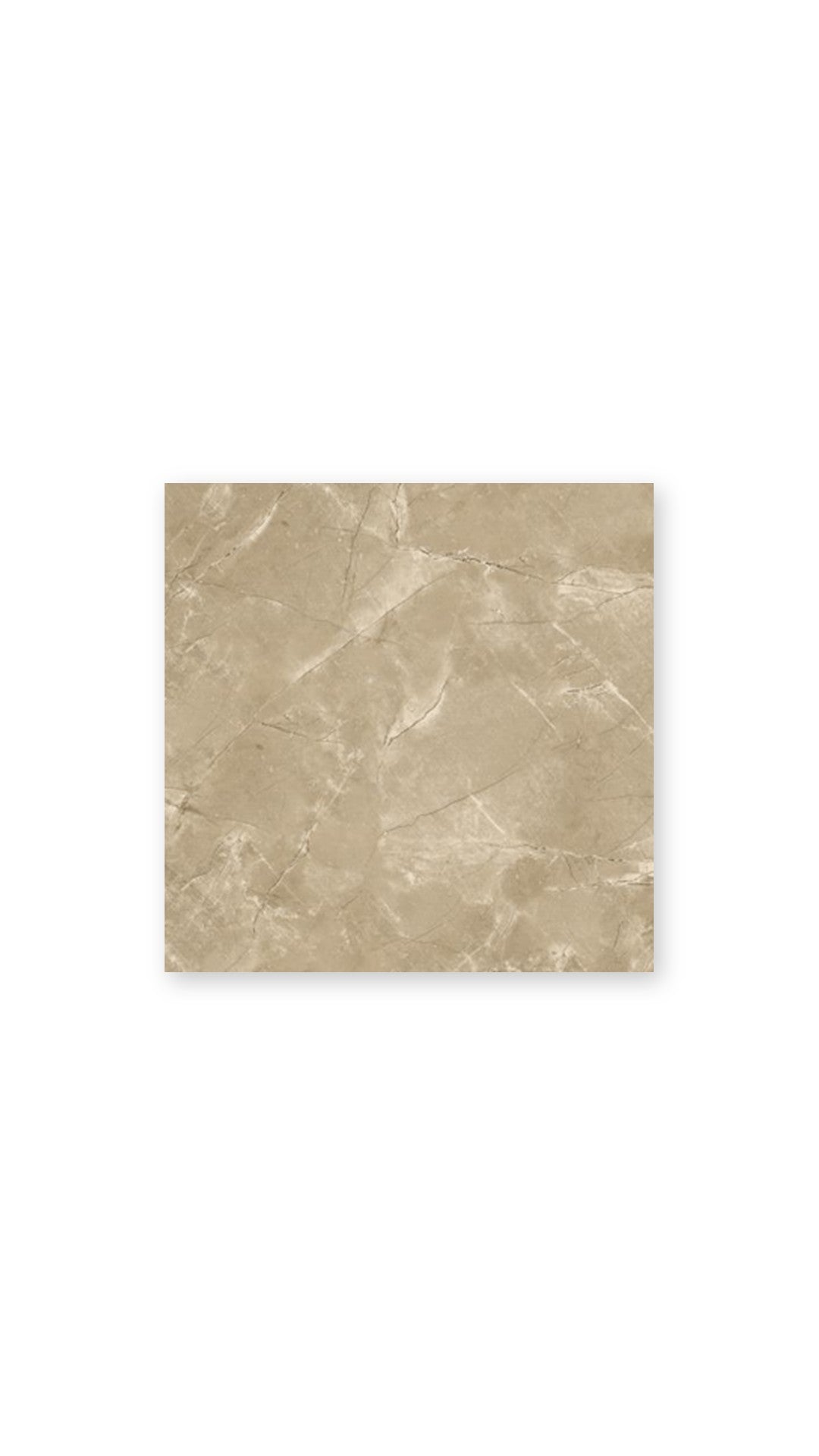 Marmo Oro Polished Porc 600X600 tile