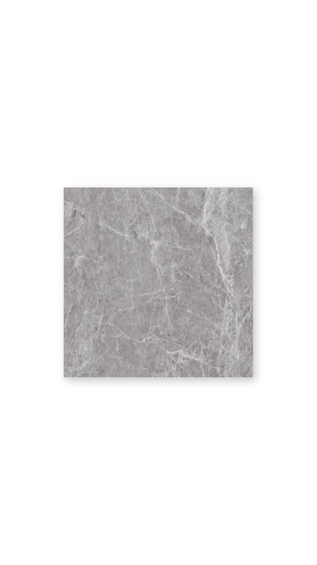Ohio Grey Polished Porc. 600X600 tile