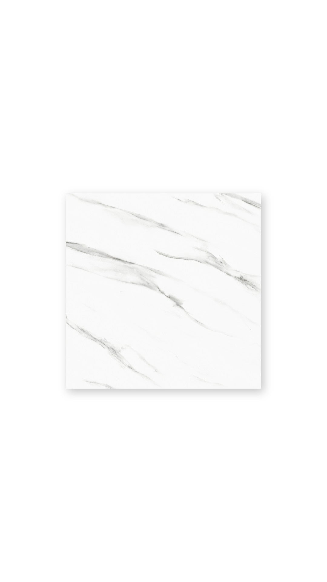 Carara White Polished Porc. 600X600 tile