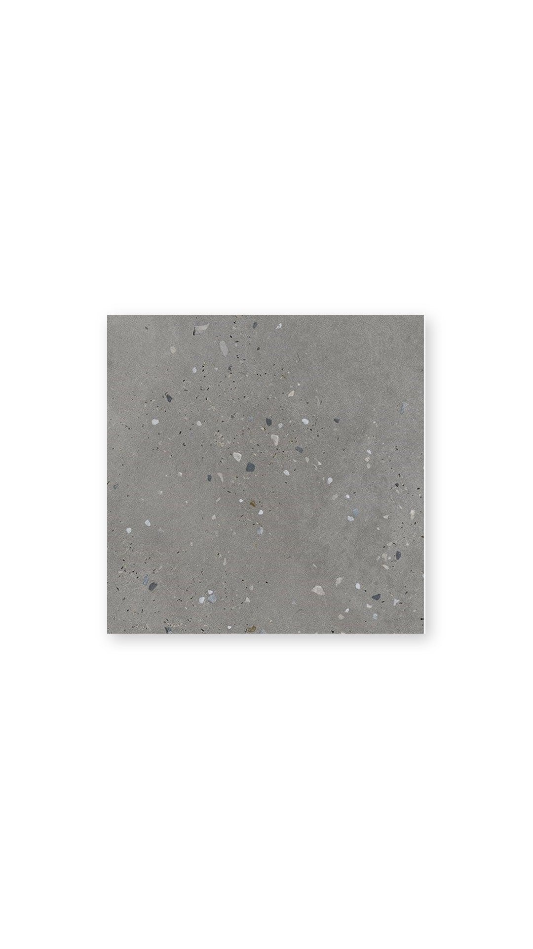 Terrazo Gris Polished Porcelain Tile 600 x 600 tile