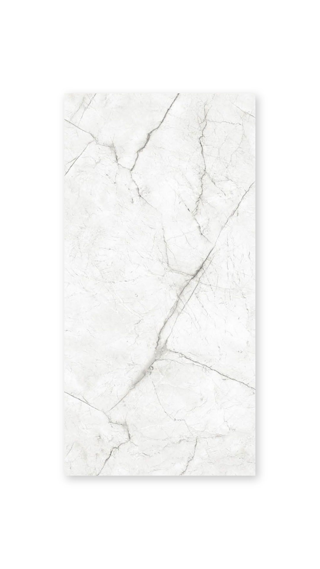 EM Fiasco White Glossy Porcelain 600x1200 tile